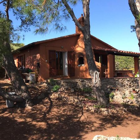לינה וארוחת בוקר איזולה די ג'יאנוטרי Casa Diana מראה חיצוני תמונה