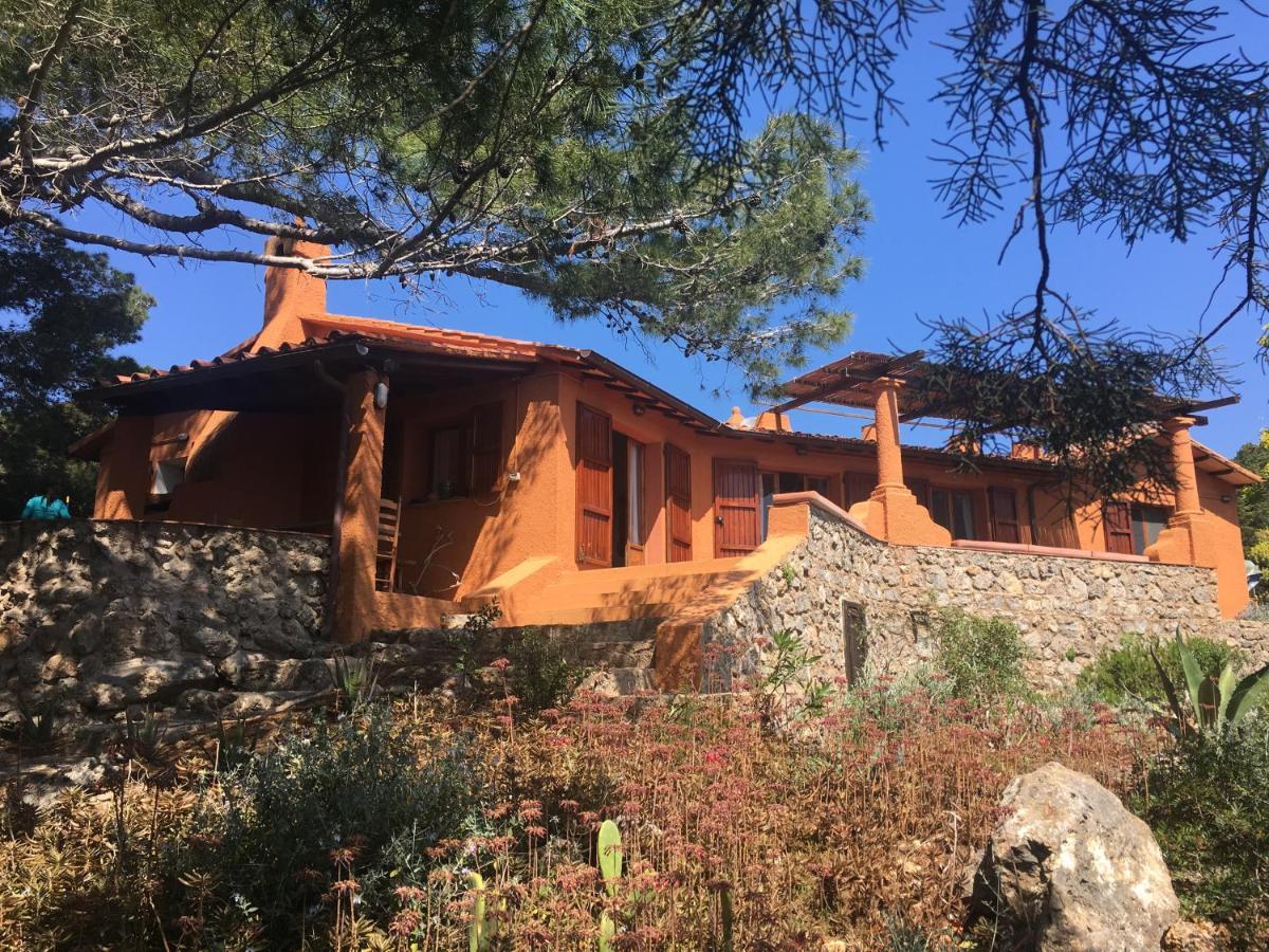 לינה וארוחת בוקר איזולה די ג'יאנוטרי Casa Diana מראה חיצוני תמונה