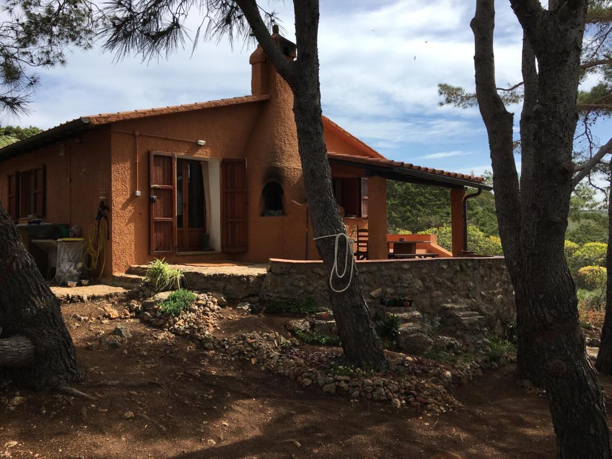 לינה וארוחת בוקר איזולה די ג'יאנוטרי Casa Diana מראה חיצוני תמונה